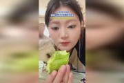 娱乐吃瓜小野猫微博,娱乐小能手小野猫微博揭秘娱乐圈幕后故事