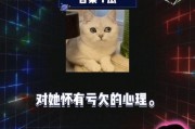 吃瓜娱乐新闻,吃瓜群众揭秘明星幕后故事